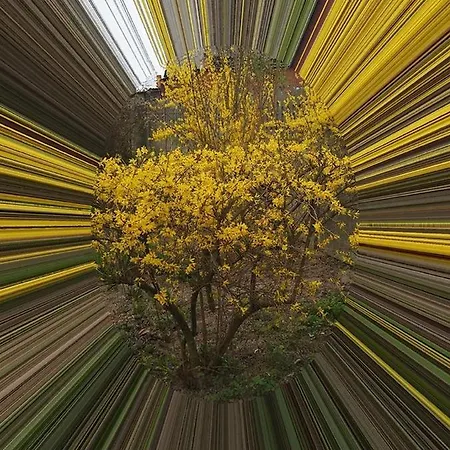 אכסניה Schronisko Mlodziezowe Malgosia *