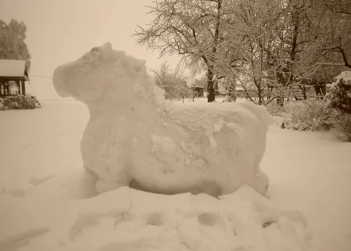 Hostel Schronisko Mlodziezowe Malgosia *