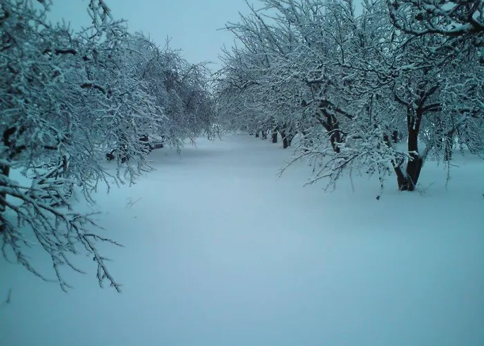 Schronisko Mlodziezowe Malgosia Hostel