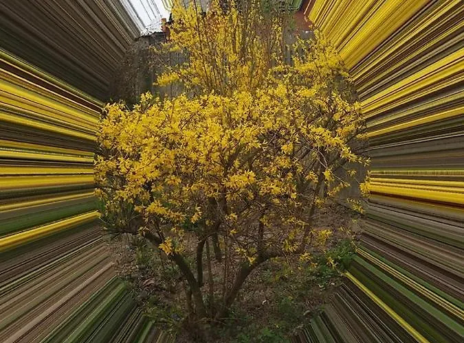 Hostel Schronisko Mlodziezowe Malgosia *