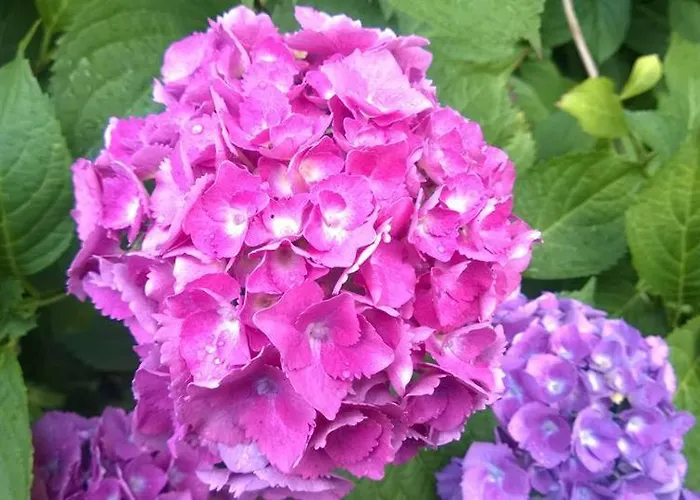 Schronisko Mlodziezowe Malgosia Hostel