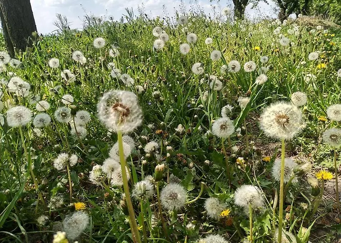 Schronisko Mlodziezowe Malgosia Hostel