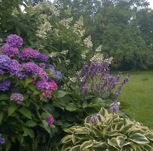 Schronisko Mlodziezowe Malgosia